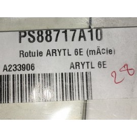 Rotule mâle ARYTL6E