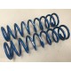Jeu de 2 ressorts Terre 32 N/mm 207 S2000