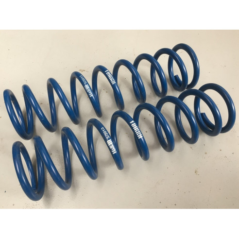 Jeu de 2 ressorts Terre 32 N/mm 207 S2000