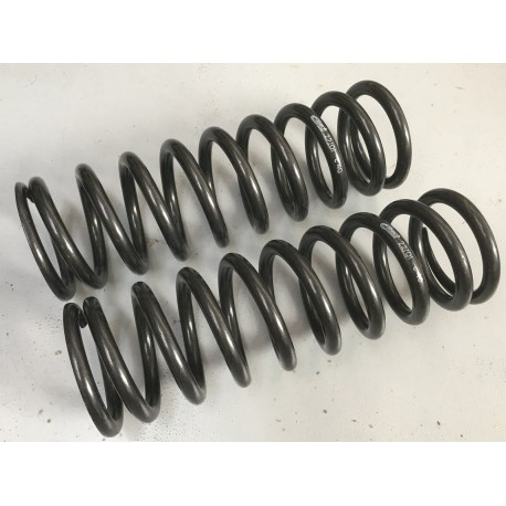 Jeu de 2 ressorts AV Terre 40 N/mm 206 S1600 Jeu de 2 ressorts AV Terre 40 N/mm 206 S1600