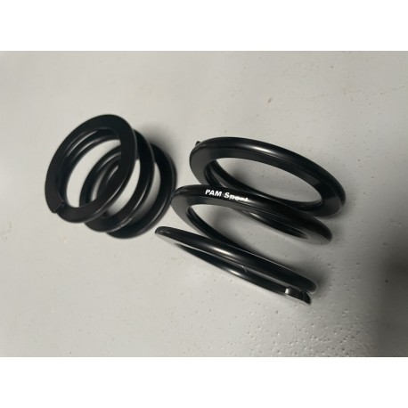 Jeu de ressorts compensateur Saxo Kit Car