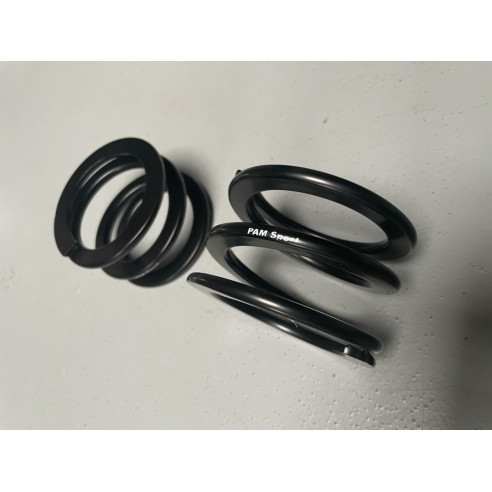 Jeu de ressorts compensateur Saxo Kit Car