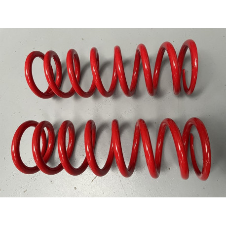 Jeu de ressorts AR C2 R2 Max 40Nmm Jeu de ressorts AR C2 R2 Max 40Nmm