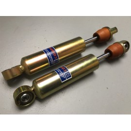 Jeu d'amortisseurs AR 205 / 309 GrA