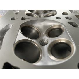 Culasse TU5JP4 206 S1600