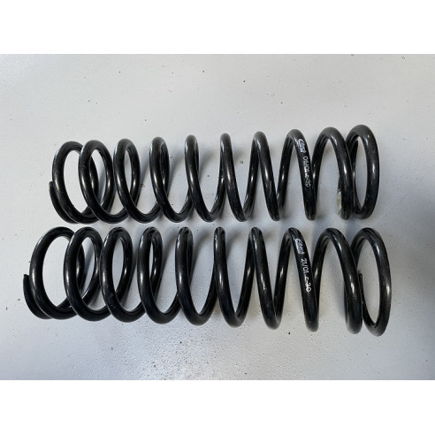 Jeu de 2 ressorts AV Terre 30 N/mm 206 S1600