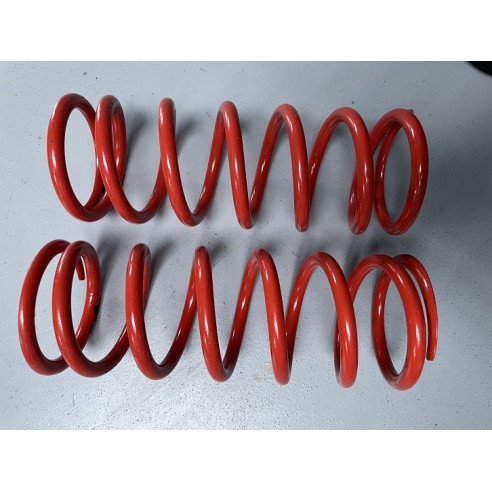 Jeu de 2 ressorts AV 43 N/mm 206 S1600