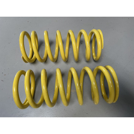 Jeu de 2 ressorts AV 43 N/mm 206 S1600