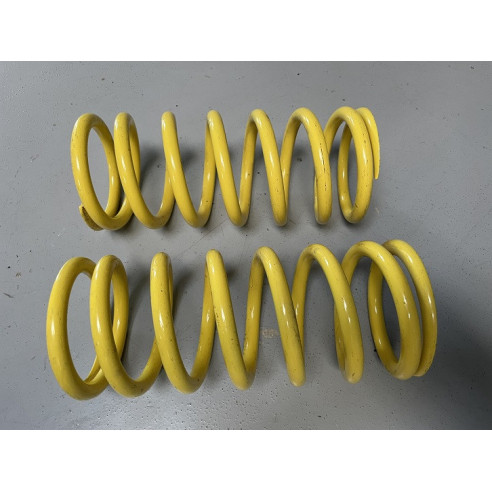 Jeu de 2 ressorts AV 43 N/mm 206 S1600