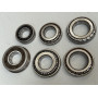Kit roulements pour boites SMAN MCS 207 R3T