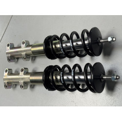 Jeu de 2 amortisseurs AV 205 / 309 Evo