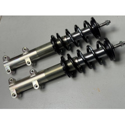 Jeu de 2 amortisseurs AV 205 / 309 Evo