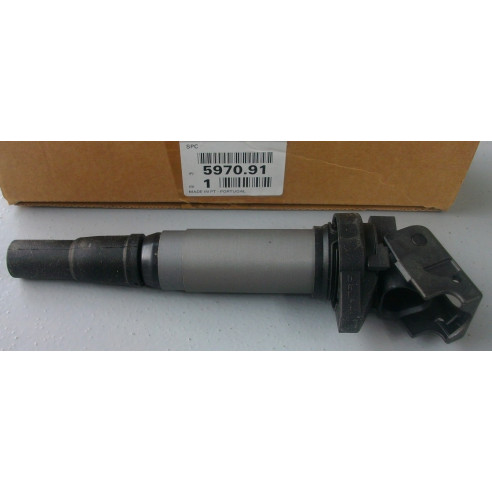 Bobine d'allumage 207 RC