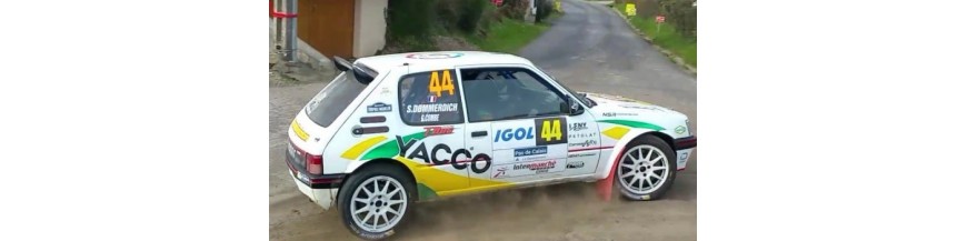PEUGEOT 205 / 309