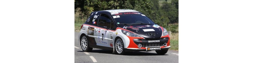 207 RC Rallye