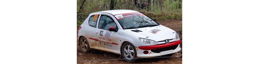 206 XS Volant / CUP