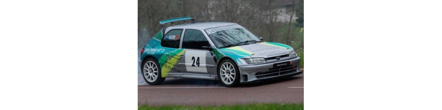 306 Maxi V1