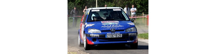 106 Kit Car