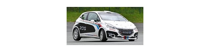 208 R2